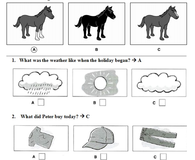 Đề thi English Champion 2017 