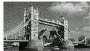 Đề thi English Champion 2017 