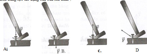 Giải bài tập SBT Vật lý lớp 8 bài 4: Biểu diễn lực