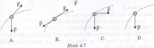 Giải bài tập SBT Vật lý lớp 8 bài 4: Biểu diễn lực