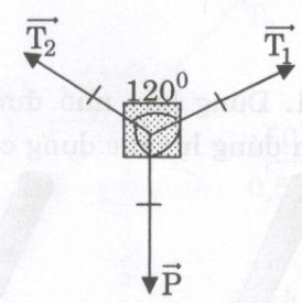 Giải bài tập SBT Vật lý lớp 8 bài 4: Biểu diễn lực
