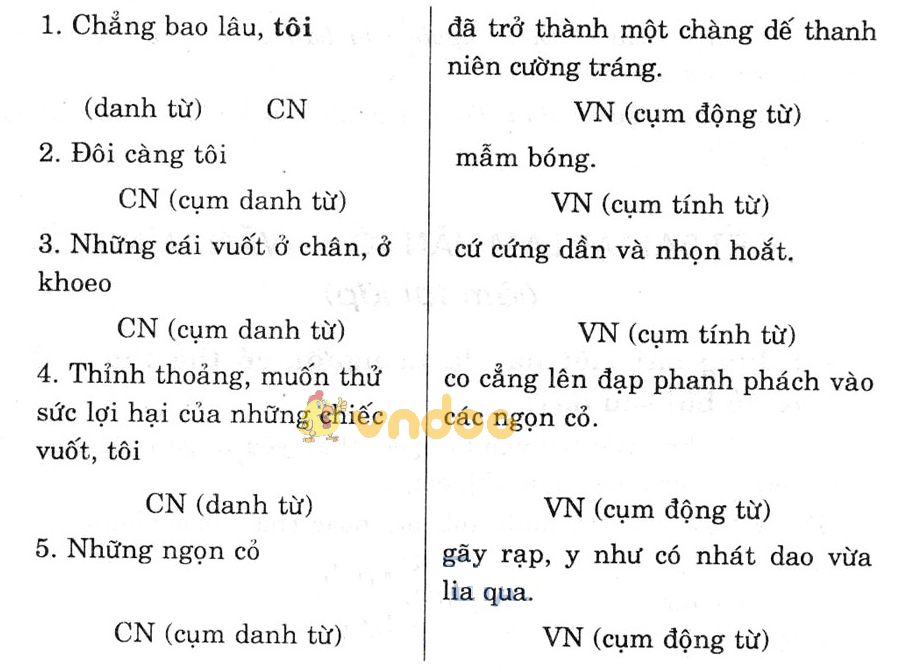 Giải bài tập Ngữ văn lớp 6 bài 25: Các thành phần chính của câu