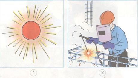 Giải bài tập Sgk Khoa học 4