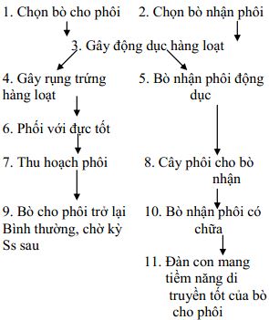 Giáo án Công nghệ 10 bài 27: Ứng dụng công nghệ tế bào trong công tác