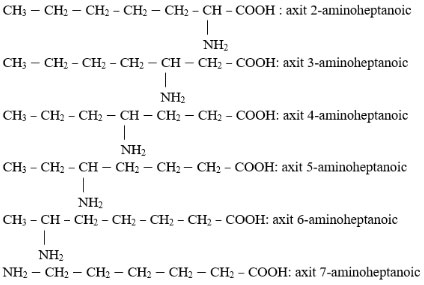 Cấu tạo và tính chất của amin, amino axit và protein
