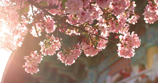 tại sao nói đêm tháng năm chưa nằm đã sáng ngày tháng mười chưa cười đã tối