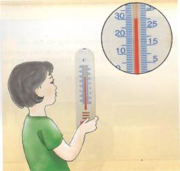 Giải bài tập Khoa học 4