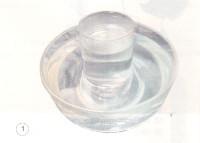 Giải bài tập SGK Khoa học 4