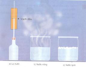 Giải bài tập SGK Khoa học 4