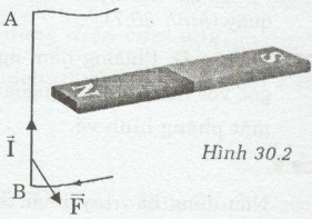 Giải bài tập SBT Vật lý lớp 9 bài 30: Bài tập vận dụng quy tắc nắm tay phải và quy tắc bàn tay trái
