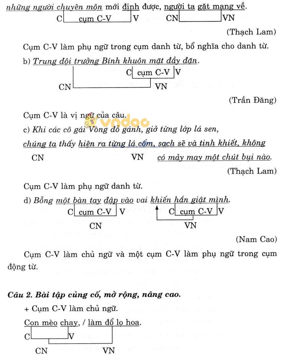 Giải bài tập Ngữ văn lớp 7 bài 25: Dùng cụm chủ - vị để mở rộng câu