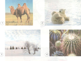 Giải SGK Khoa học 4