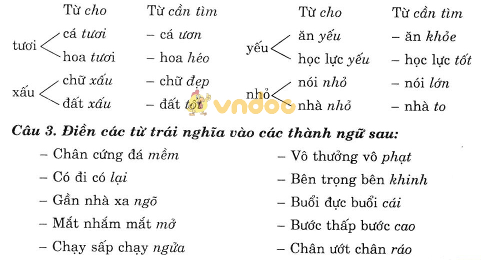 Giải bài tập Ngữ văn lớp 7 bài 10: Từ trái nghĩa