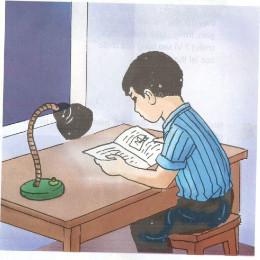 Giải bài tập SGK Khoa học 4