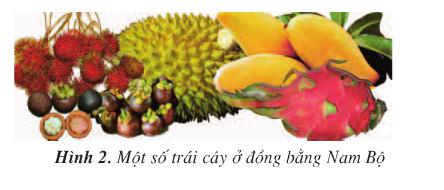 Giải bài tập Địa lý 4