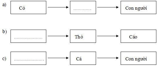 Đề thi học kì 2 môn Khoa học lớp 4