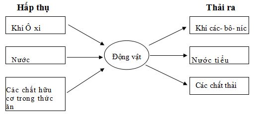 Đề thi học kì 2 môn Khoa học lớp 4