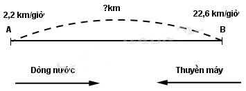 Giải vở bài tập Toán 5