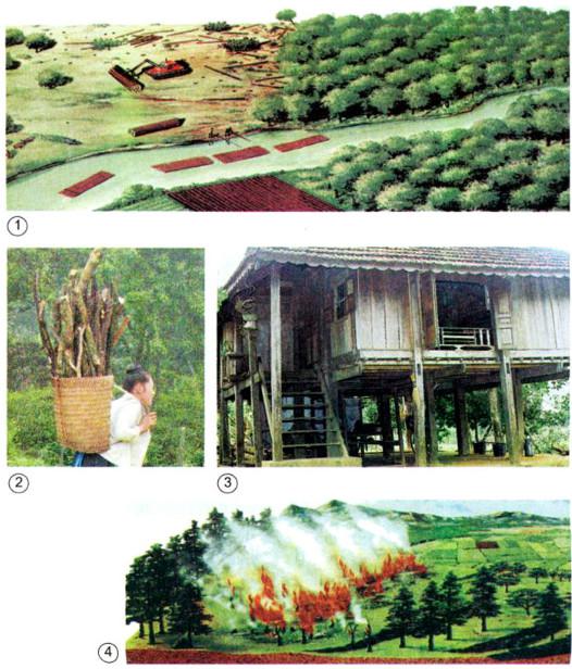 Giải bài tập Khoa học lớp 5