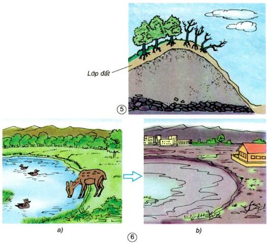Giải bài tập Khoa học lớp 5