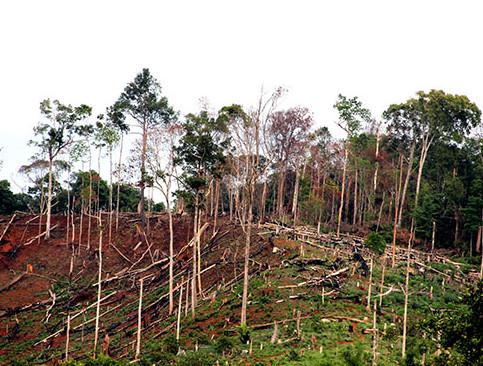 Giải bài tập Khoa học 5