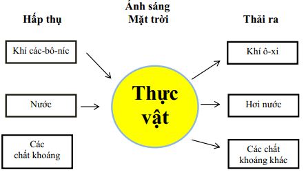 Đề thi học kì 2 môn Khoa học lớp 4 trường Tiểu học Chiêng La B, Sơn La năm 2017 - 2018