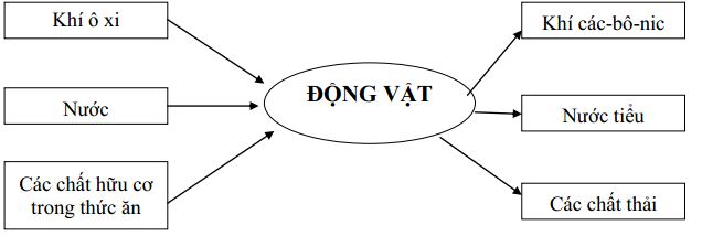 Đề thi học kì 2 môn Khoa học lớp 4 trường Tiểu học Nong Lay, Sơn La năm 2017 - 2018
