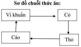 Đề thi học kì 2 môn Khoa học lớp 4 trường Tiểu học Nong Lay, Sơn La năm 2017 - 2018