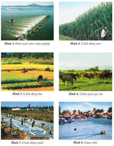 Giải bài tập SGK Địa lí 4 bài 25: Người dân và hoạt động sản xuất ở đồng bằng Duyên hải miền Trung