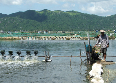 Giải bài tập SGK Địa lí 4 bài 25: Người dân và hoạt động sản xuất ở đồng bằng Duyên hải miền Trung