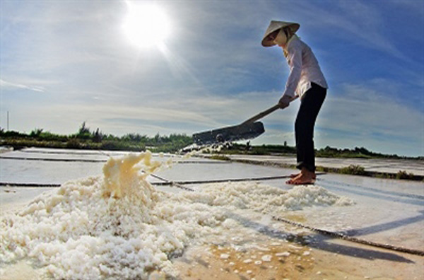 Giải bài tập SGK Địa lí 4 bài 25: Người dân và hoạt động sản xuất ở đồng bằng Duyên hải miền Trung