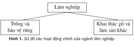 Giải bài tập SGK Địa lí 5 bài 11: Lâm nghiệp và thủy sản