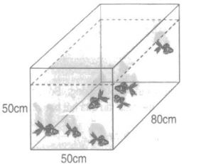 Giải vở bài tập Toán 5