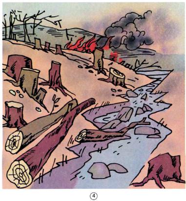 Giải bài tập Khoa học 5