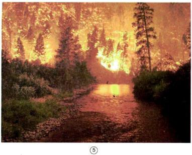 Giải bài tập Khoa học 5