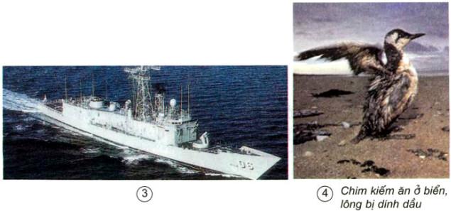 Giải sách giáo khoa khoa học lớp 5