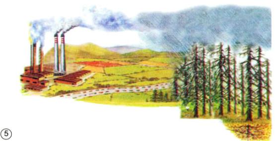 Giải sách giáo khoa khoa học lớp 5