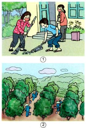 Giải sách giáo khoa khoa học 5