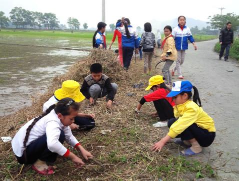 Giải sách giáo khoa khoa học 5