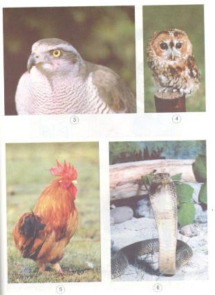 Giải vở bài tập Khoa học lớp 4