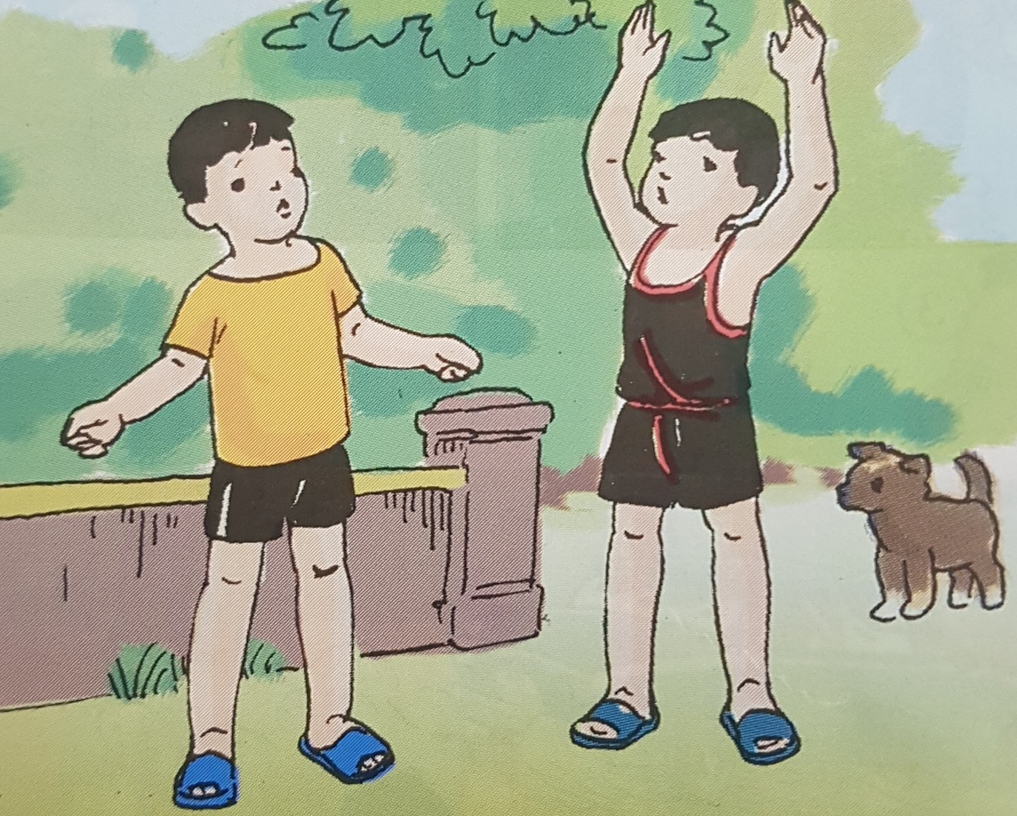 Giải bài tập SGK môn Tự nhiên xã hội 3 bài 3: Vệ sinh hô hấp