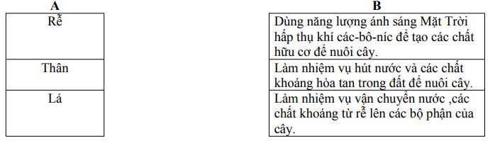 Đề thi học kì 2 môn Khoa học lớp 4