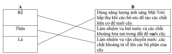 Đề thi học kì 2 môn Khoa học lớp 4