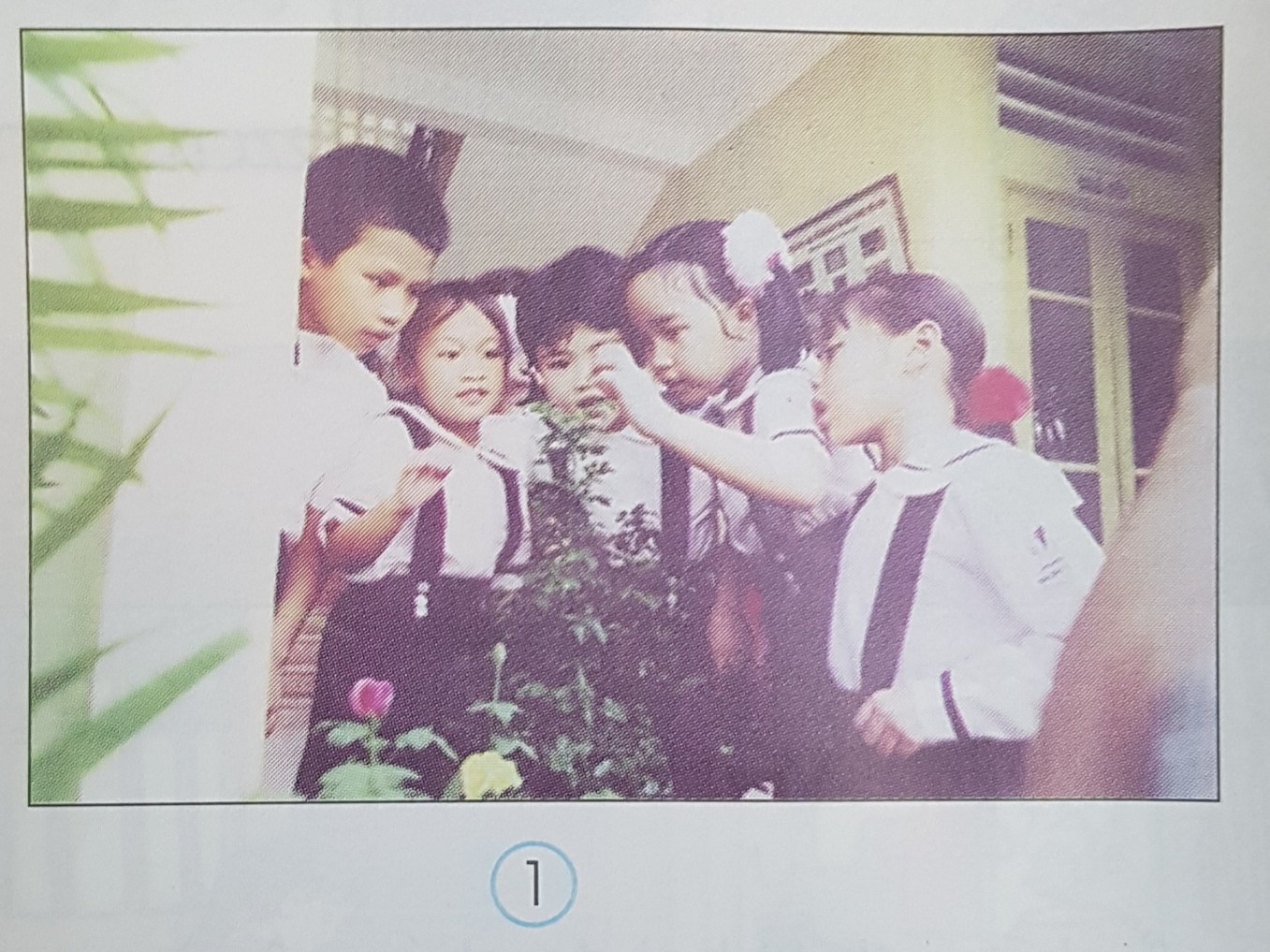 Giải bài tập SGK môn Tự nhiên xã hội 3 bài 24: Một số hoạt động ở trường