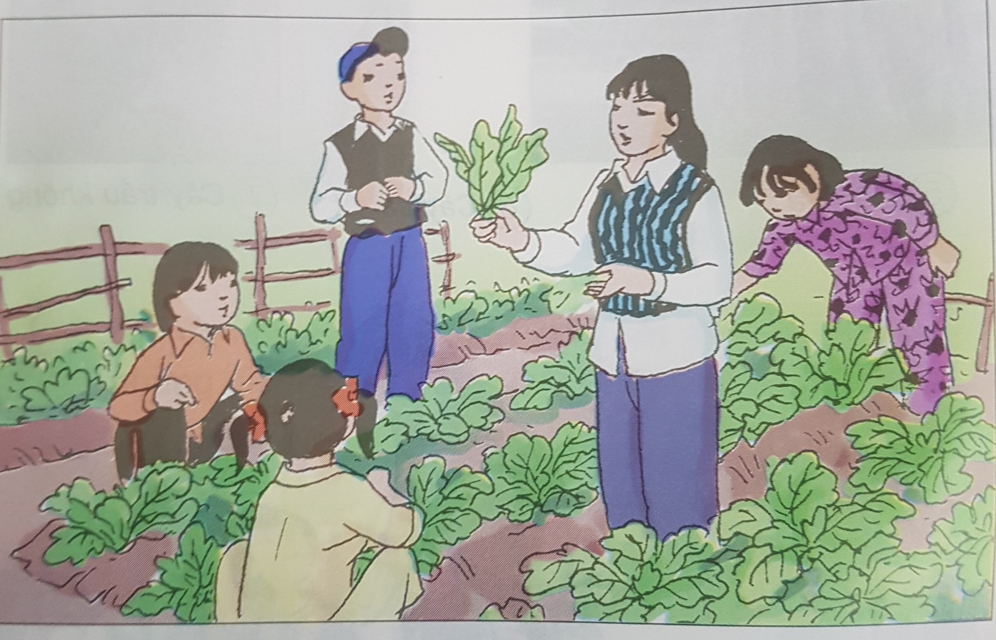 Giải bài tập SGK môn Tự nhiên xã hội 3 bài 44: Rễ cây (Tiếp theo)