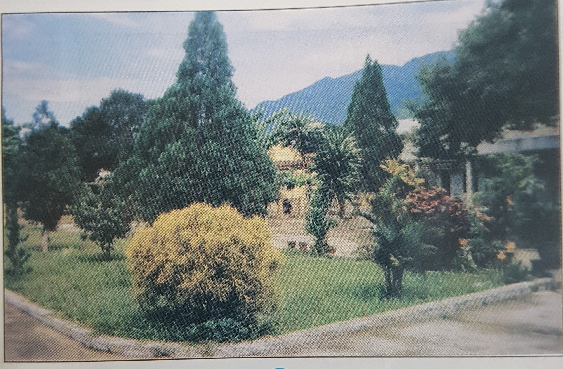 Giải bài tập SGK môn Tự nhiên xã hội 3 bài 45: Lá cây