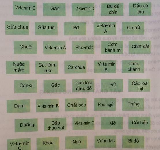 Giải bài tập Khoa học lớp 4