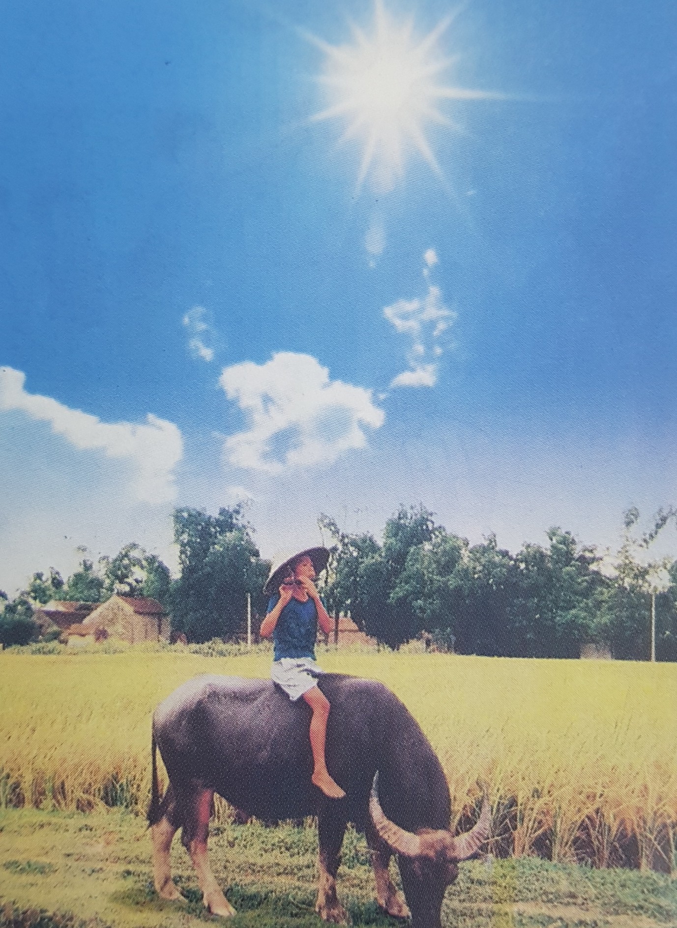 Giải bài tập SGK môn Tự nhiên xã hội 3 bài 58: Mặt trời