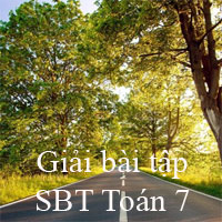 Giải bài tập SBT Toán 7 bài: Ôn tập chương 1