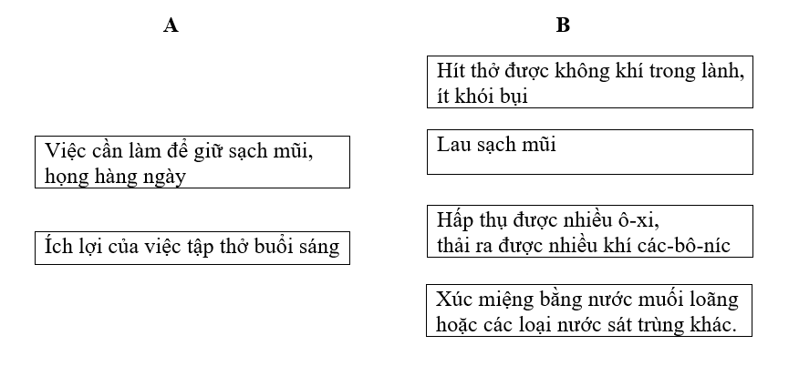 Giải vở bài tập môn Tự nhiên xã hội 3 bài 3: Vệ sinh hô hấp